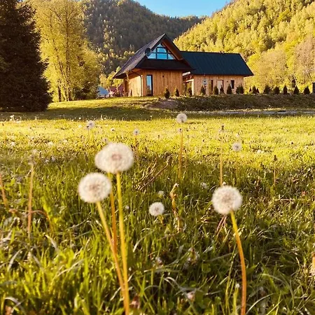 Mala Gorczanska Villa